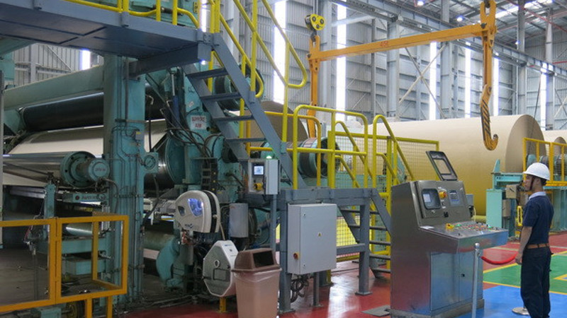 Giấy & bột giấy